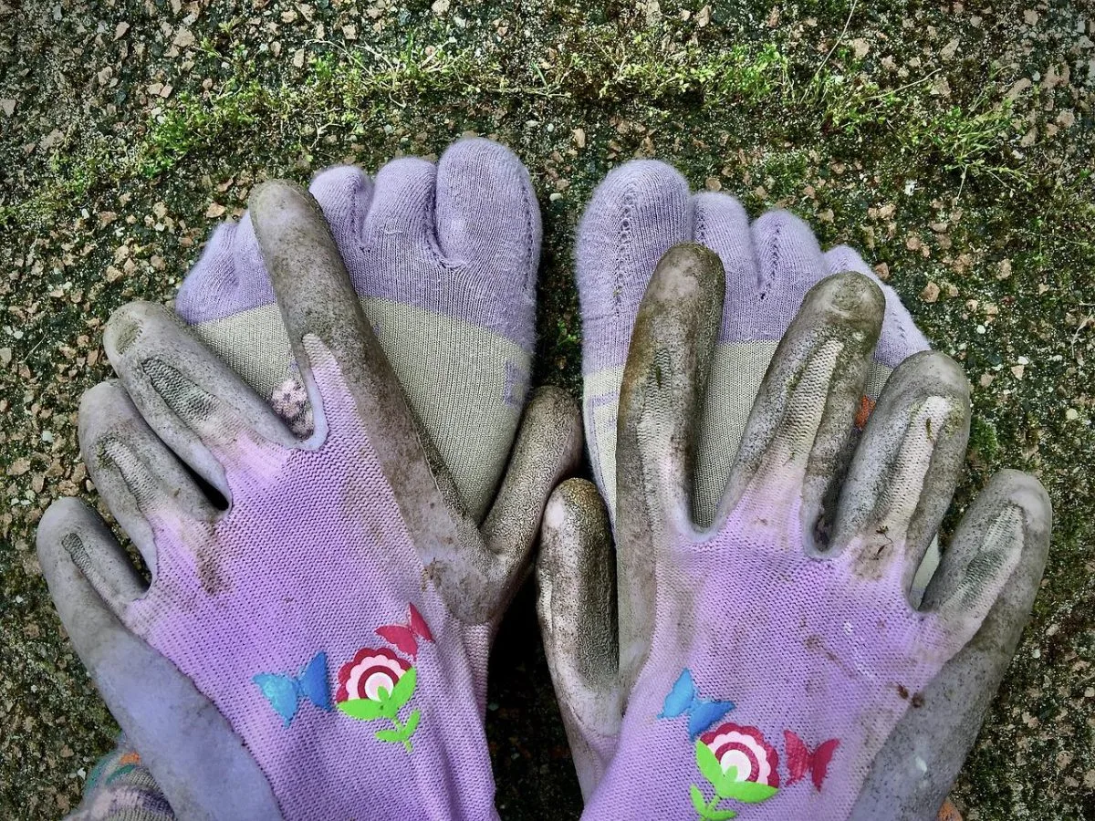 chaussures minimalistes à orteils pour jogging et randonnée