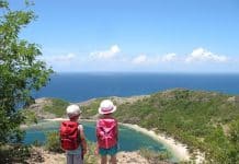 Conseils pour préparer un voyage en Guadeloupe cet été