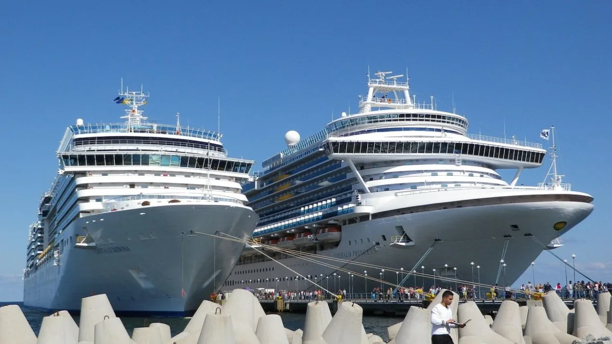 Vivre une croisière en antarctique : les secrets d’une expérience polaire inoubliable !